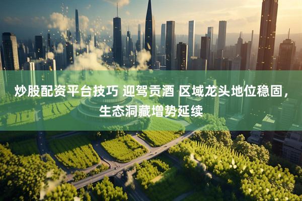炒股配资平台技巧 迎驾贡酒 区域龙头地位稳固，生态洞藏增势延续