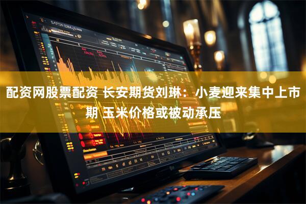 配资网股票配资 长安期货刘琳：小麦迎来集中上市期 玉米价格或被动承压